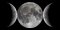 MoonDweller